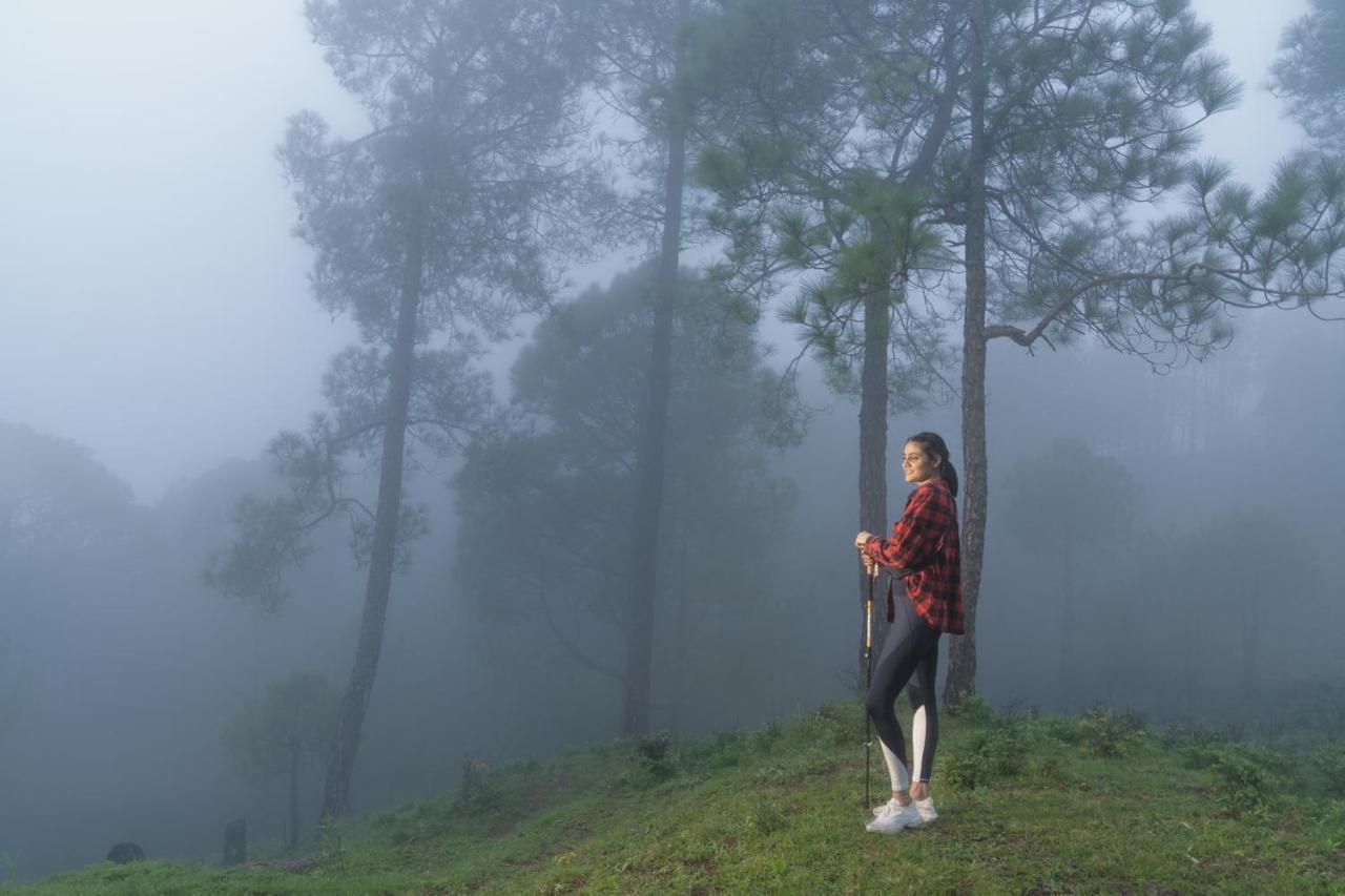 Cassia Resort, Kasauli Eksteriør bilde
