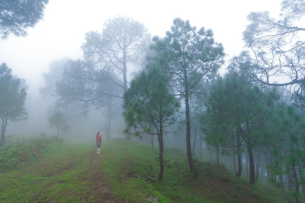 Cassia Resort, Kasauli Eksteriør bilde
